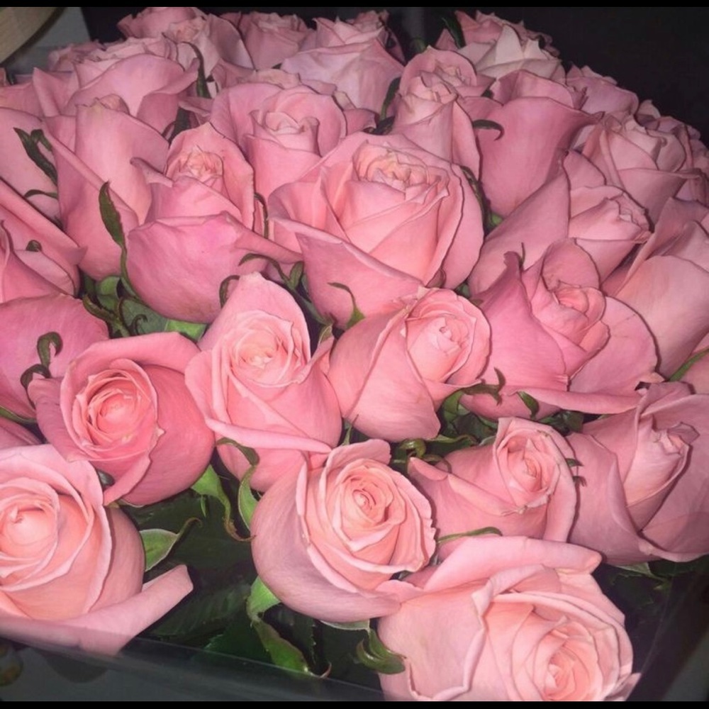 Meet your Posher, Maggie